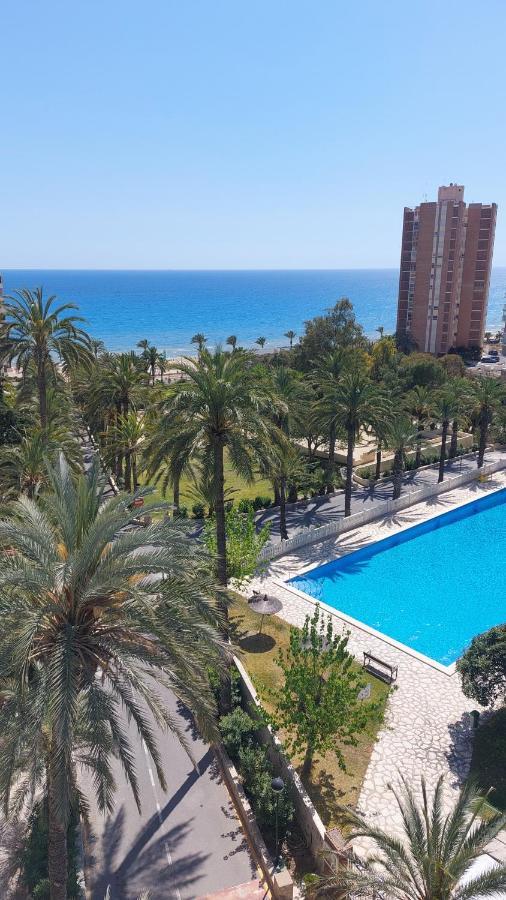 אל קאמפיו Barbara 20 Playa Muchavista Alicante מראה חיצוני תמונה