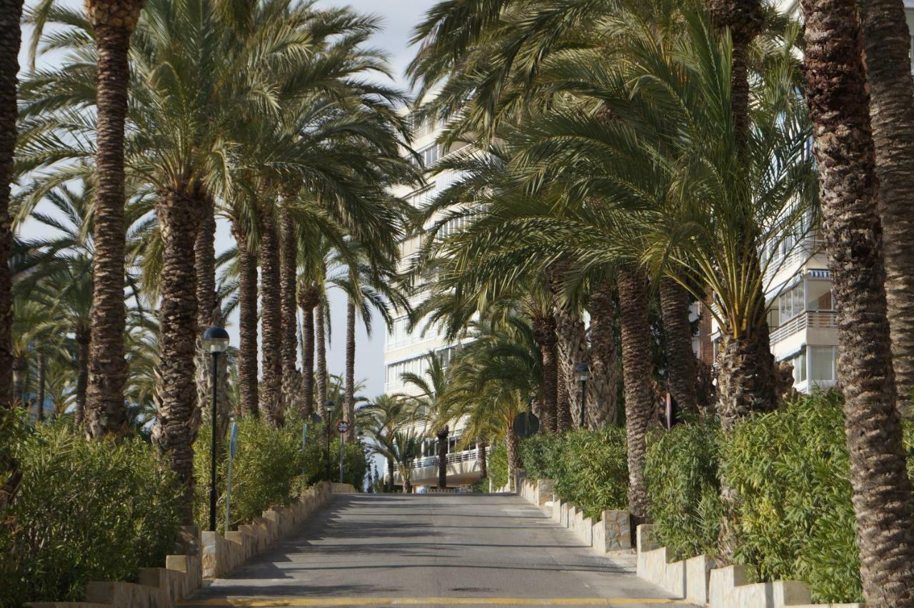 אל קאמפיו Barbara 20 Playa Muchavista Alicante מראה חיצוני תמונה
